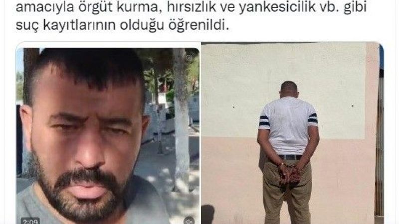 Toplu mezar iddiasında provokatör detayı