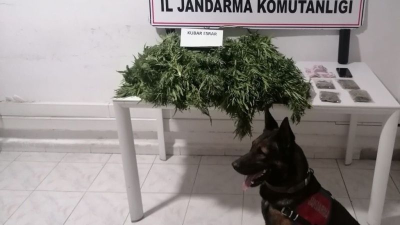 Gaziantep’te 12 kilo kubar esrar ile çok sayıda tarihi eser niteliğinde taş ele geçirildi