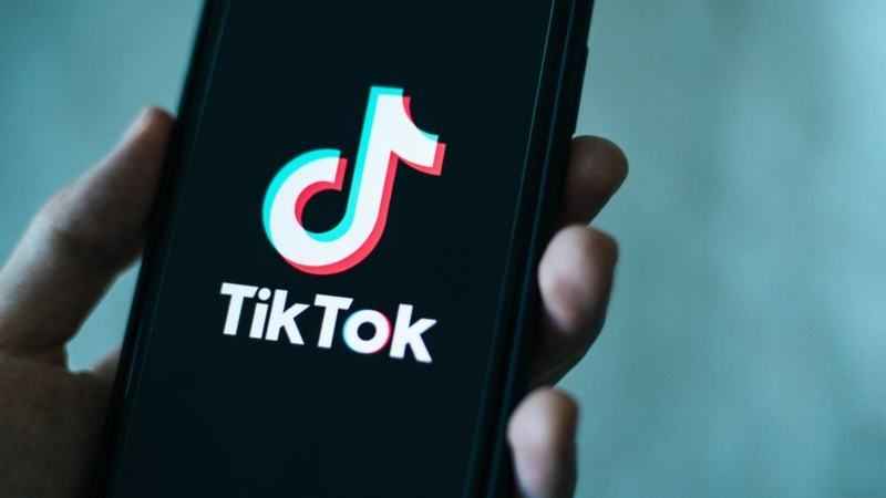 Muhalefete TikTok Eleştirisi! Habertürk yazarından olay sözler! İşte o açıklama…