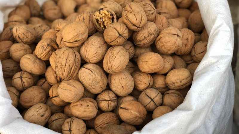 1 Kg Kabuklu Cevizden Ne Kadar İç Çıkar? Tüm Detaylar
