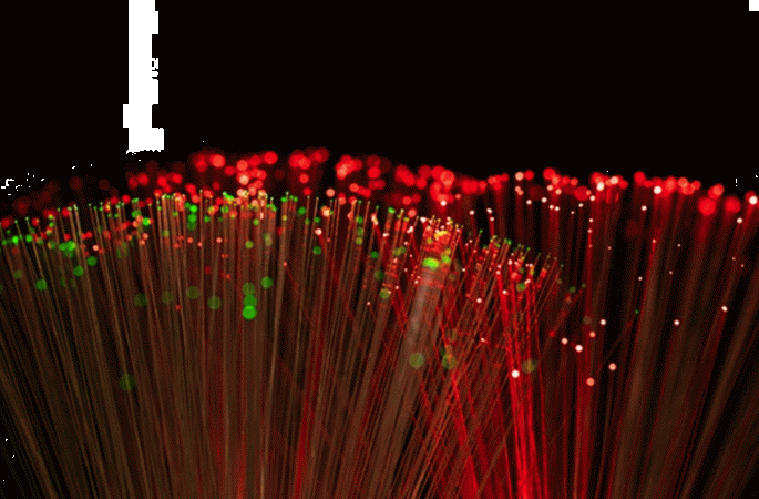 Fiber İnternet: Yüksek Performans ve Sorunsuz Bağlantı Deneyimi