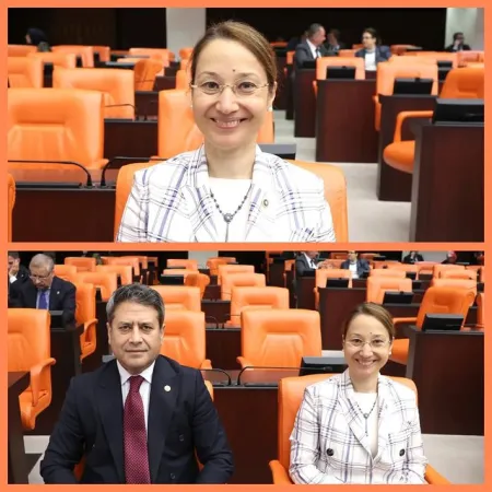 TBMM Genel Kurulu’nda Öğretmenlik Mesleği Kanunu Görüşmeleri Başladı