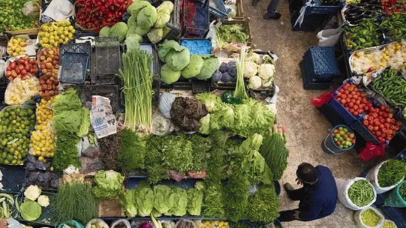 Gaziantep Hal Fiyatları 25 Mart 2025: Sebze ve Meyve Fiyatları Ne Kadar?