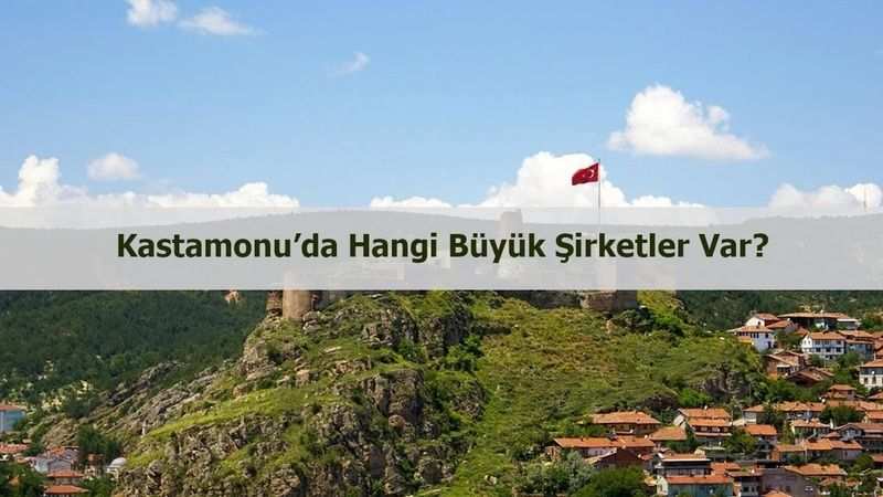 Kastamonu’da hangi büyük şirketler var?