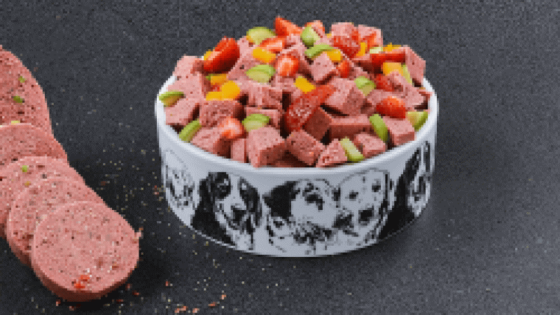 Petchef.com.tr’nin Sağlıklı ve Doğal Mama ile Lezzetli Köpek Pastaları