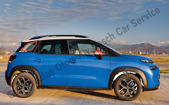 Adana Citroen Servisi