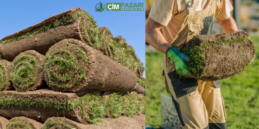 Hazır Rulo Çim Nedir? Ne Kadar Dayanır? Fiyatı Ne Kadar?
