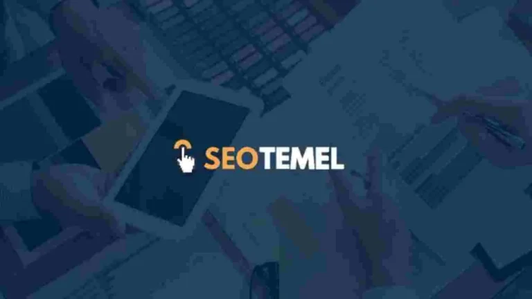 Google SEO ile Markanızı Arama Sonuçlarının Zirvesine Taşıyın